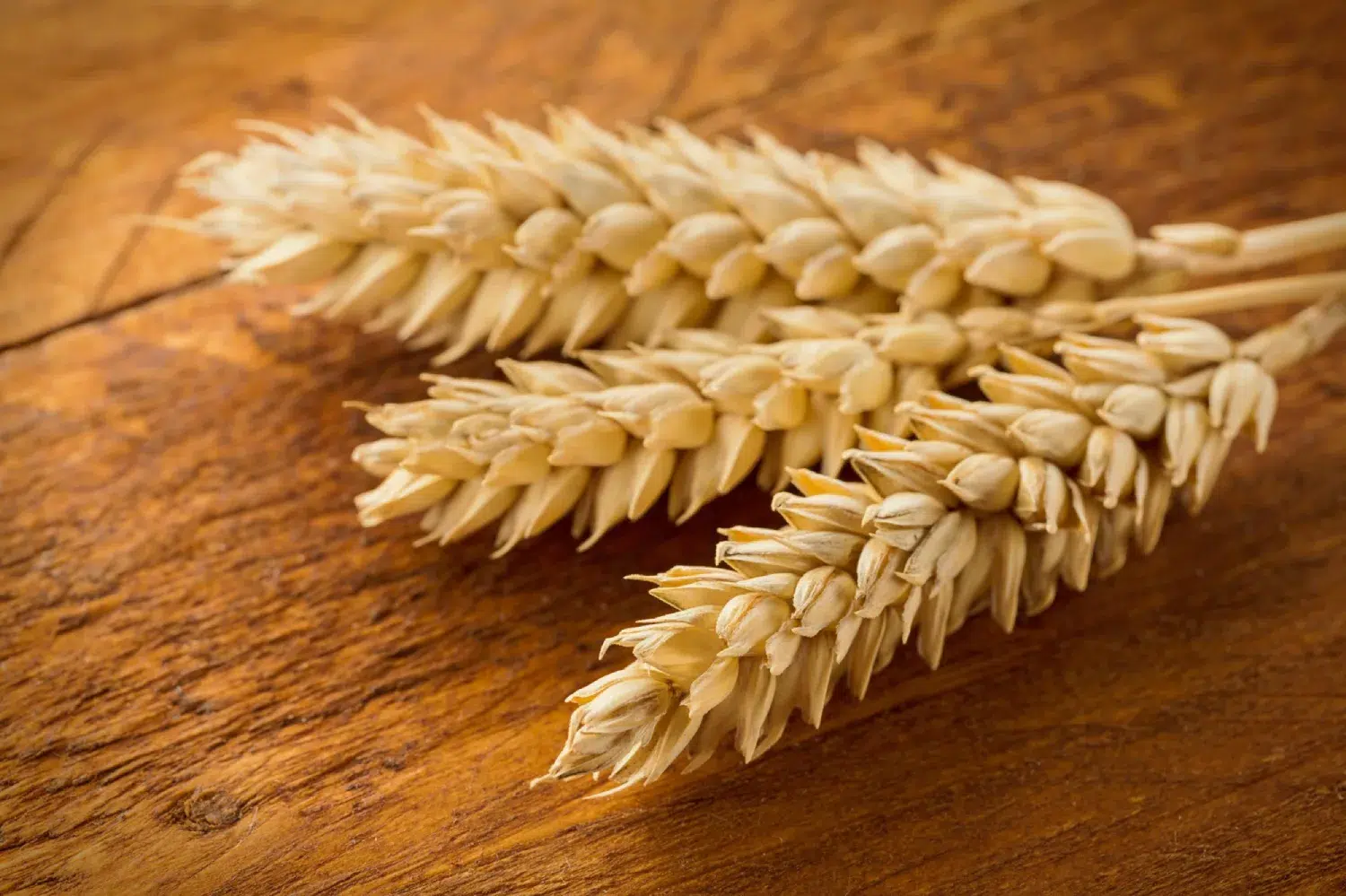 Carboidratos integrais também fazem parte de escolhas que alimentam