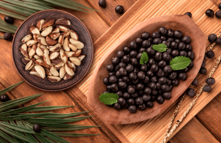 Dia da Amazônia: conheça as riquezas nutritivas que vêm de lá