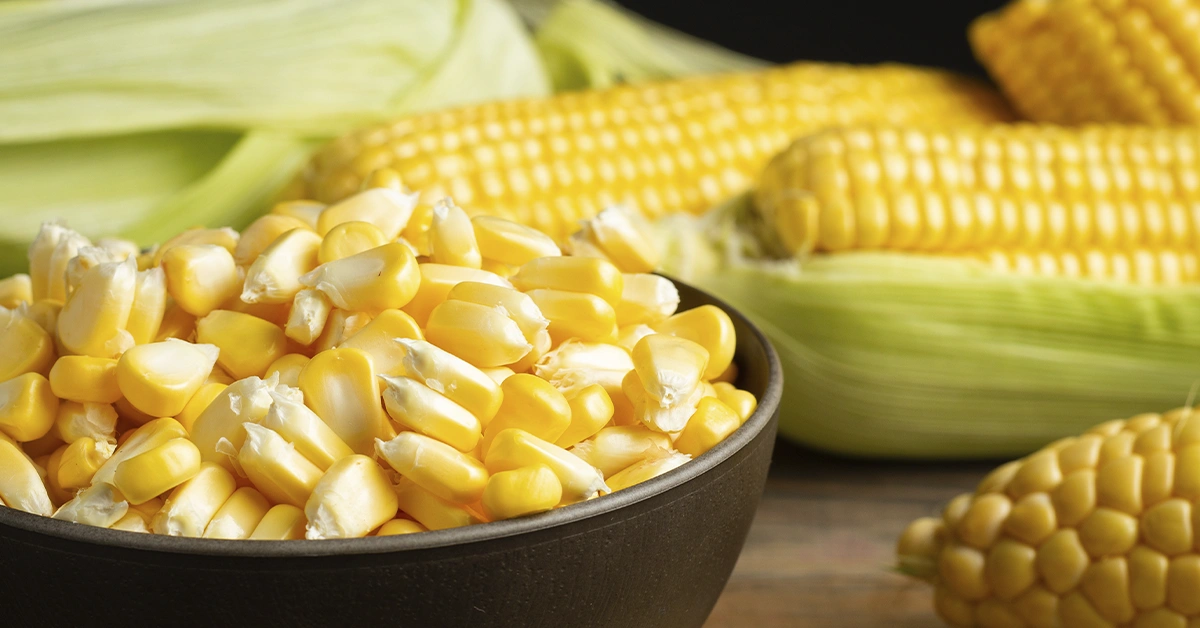 Descubra os benefícios do milho na alimentação diária