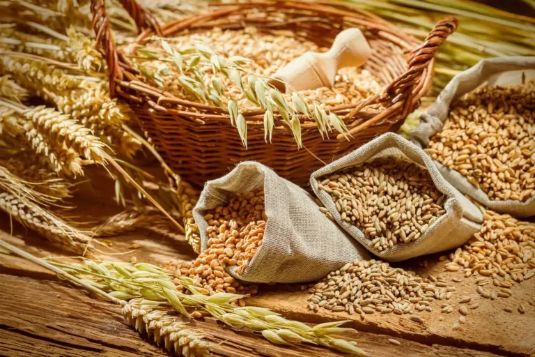 A importância dos micronutrientes